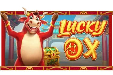 9cnc bet