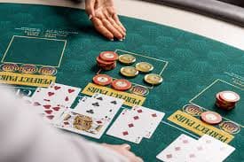 9cnc bet